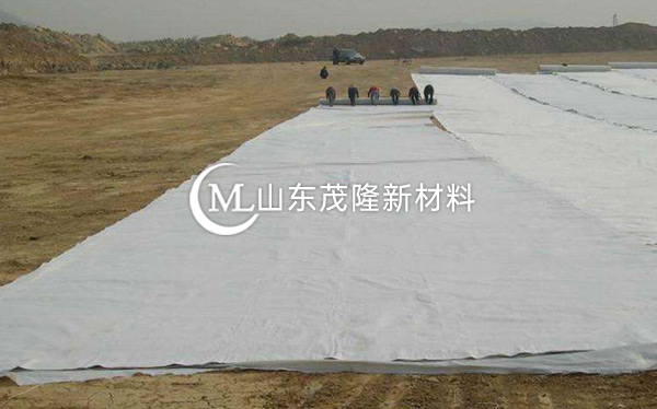 《天府機場TJ6標》土工格柵、土工布、排水板施工