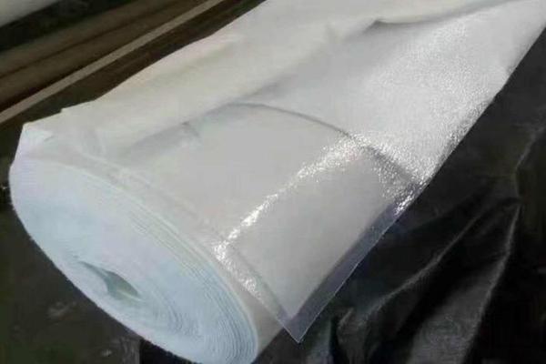復(fù)合土工膜：未來市場趨勢與發(fā)展方向分析  第1張