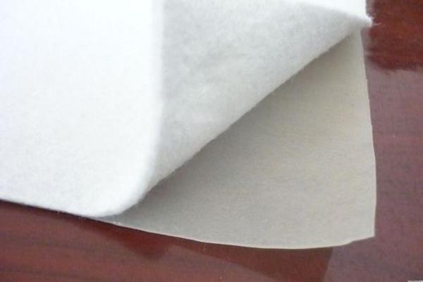 復(fù)合土工膜：未來市場趨勢與發(fā)展方向分析  第2張