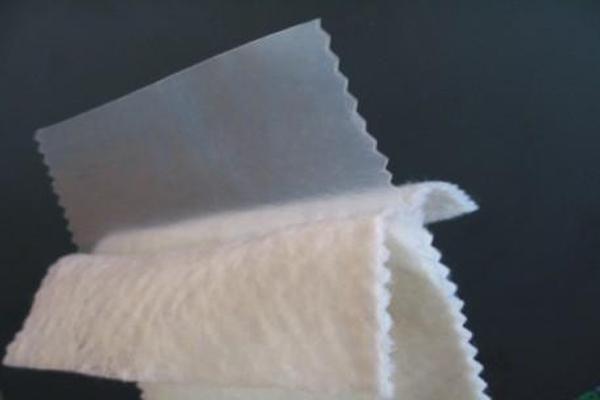 復(fù)合土工膜在人工濕地中的關(guān)鍵作用解析  第1張